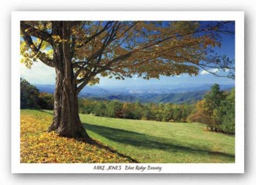 Blue Ridge Beauty by Mike Jones
