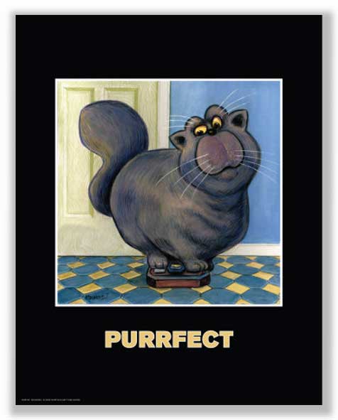 Purrfect by Kourosh