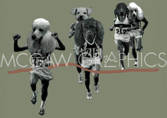 Finish Line (Dog Marathon) by Jason Laurits