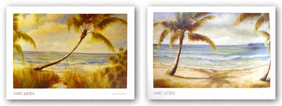 Shoreline Palms Set by Marc Lucien