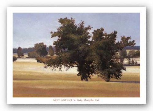 Study, Montpelier Oak by Kent Lovelace