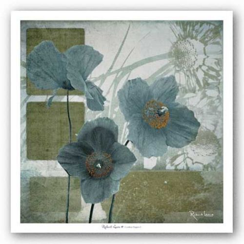 Cerulean Poppies I by Robert Lacie