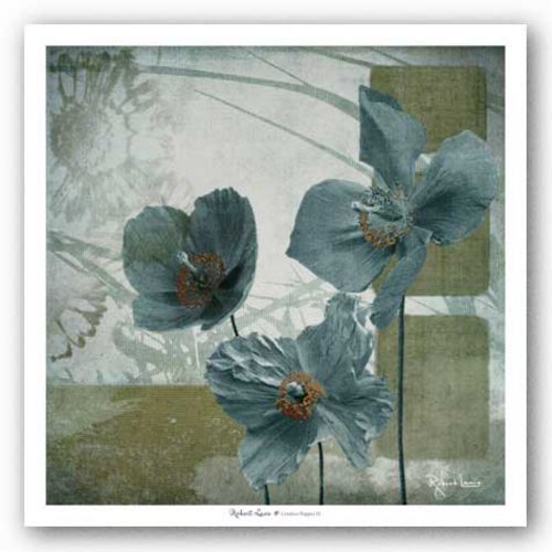 Cerulean Poppies II by Robert Lacie