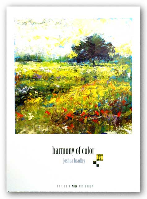 Harmony of Color II by Joshua Bradley