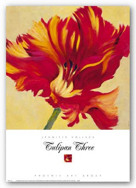 Tulipan Three by Jennifer Hollack