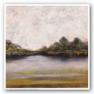 Santee River I by Dysart