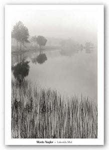 Lakeside Mist by Monte Nagler