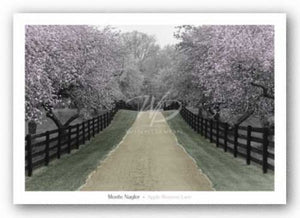Apple Blossom Lane by Monte Nagler