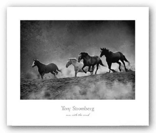 Run With the Wind by Tony Stromberg