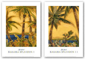 Bahama Splendor Set by Jeff Surret