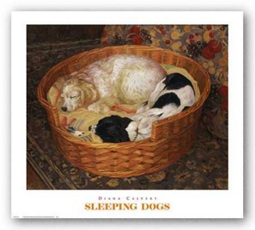 Sleeping Dogs by Diana Calvert