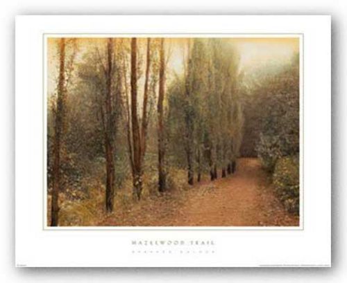 Hazelwood Trail by Barbara Kalhor