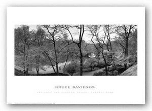 The Pond and Gapstow Bridge by Bruce Davidson