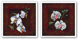 Orchid Study Set by Thomas Wood