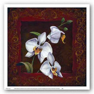 Orchid Study I by Thomas Wood