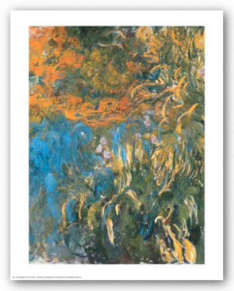 Iris, 1914-1917 by Claude Monet