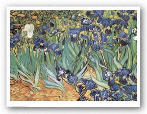 Iris Garden by Vincent van Gogh