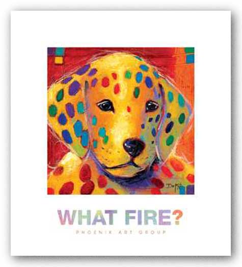 What Fire? by Karen Dupre