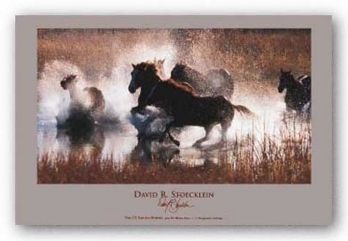 The LX Saddle Horses by David R. Stoecklein