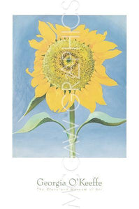 Sunflower, New Mexico, 1935 by Georgia O'Keeffe