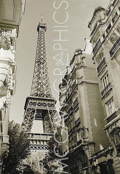 Eiffel Tower Street View #1 by Christian Peacock