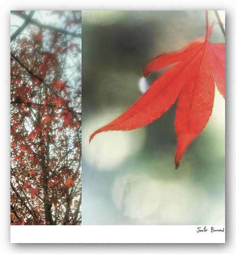 Autumn Leaves I by Jennifer Broussard