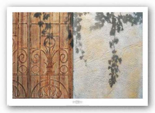 Rusty Door and Grapevine by Josep Cisquella