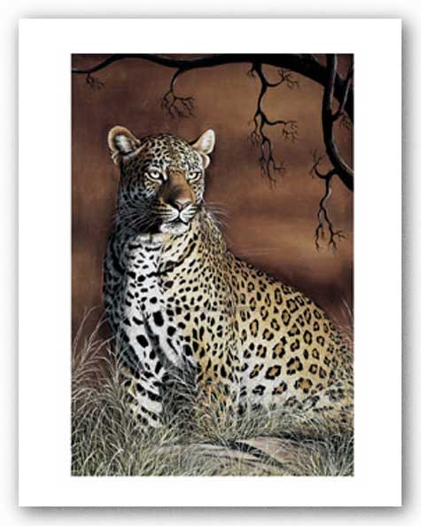 Sitting Leopard by Singh