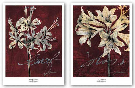 Cabernet Blossoms Set by Liz Jardine