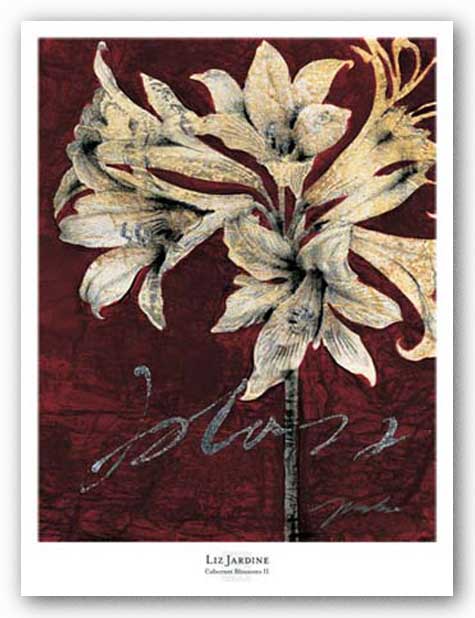 Cabernet Blossoms II by Liz Jardine
