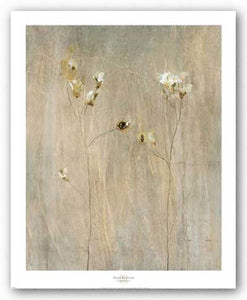 Vanilla Bloom II by Peter Kuttner