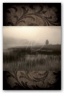 Misty Morning by Janel Pahl