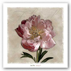 Peony I by Janel Pahl