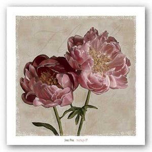 Peony II by Janel Pahl