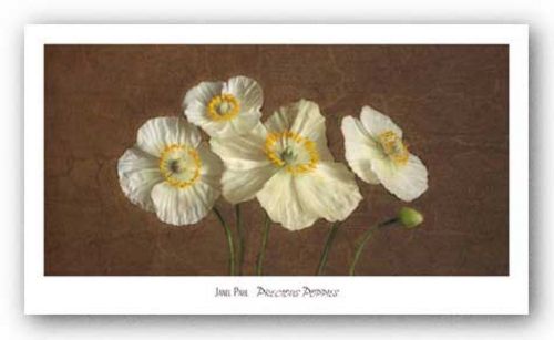Precious Poppies by Janel Pahl