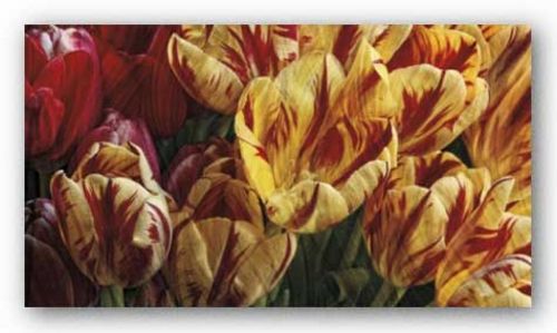 Floral Tapestry by Janel Pahl