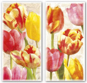 Glowing Tulips Set by Janet Pahl