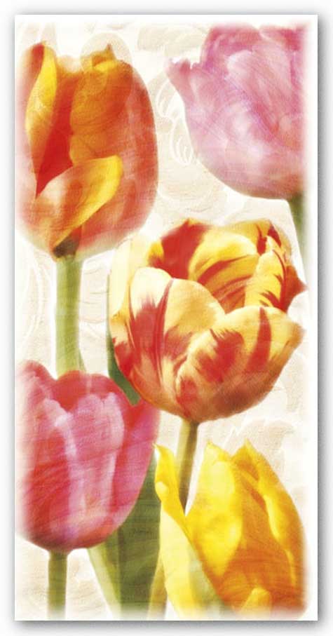Glowing Tulips II by Janet Pahl