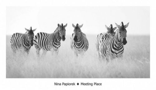 Meeting Place by Nina Papiorek