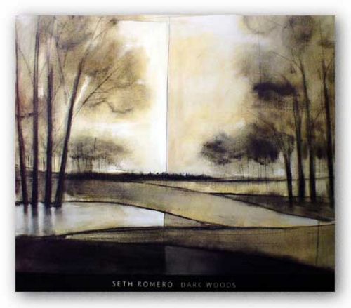 Dark Woods by Seth Romero