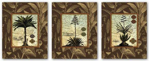 Le Grandee, Date Palm, and C. Capsolorum Set by Karl Rattner