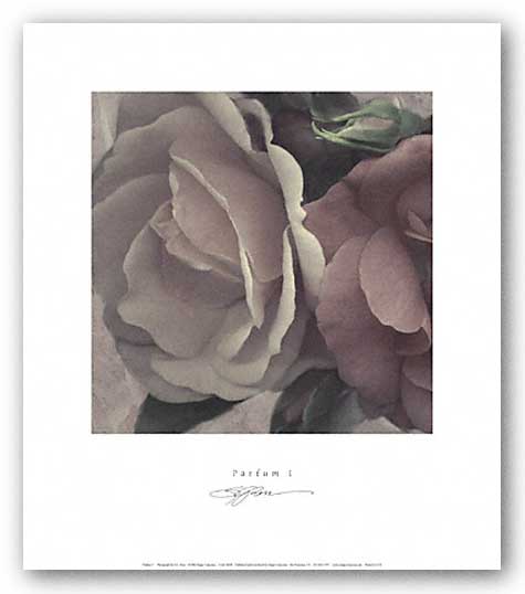 Parfum I by S.G. Rose