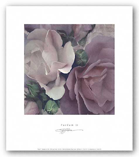 Parfum II by S.G. Rose