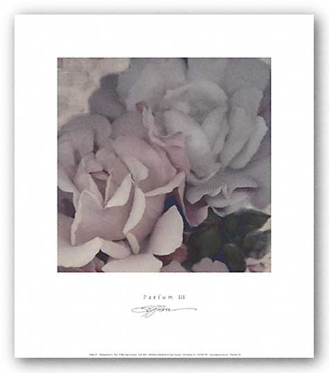 Parfum III by S.G. Rose