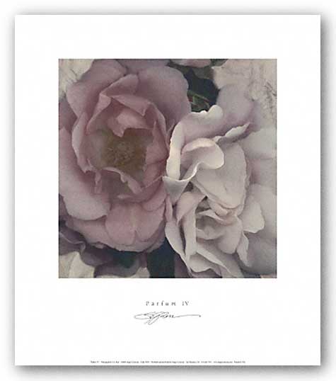 Parfum IV by S.G. Rose