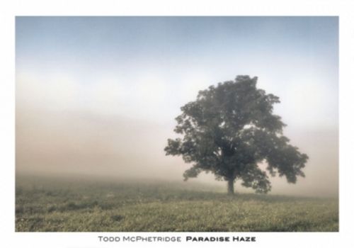Paradise Haze by Todd McPhetridge