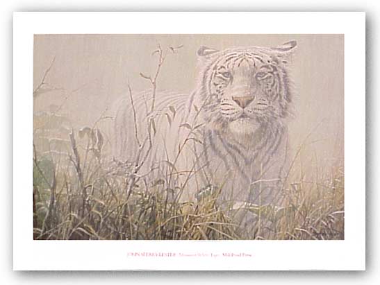 Monsoon White Tiger by John Seerey-Lester