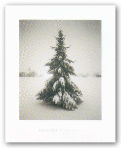 Winter Spruce by Bill Schwab