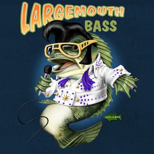 Largemouth Bass by Jim Baldwin
