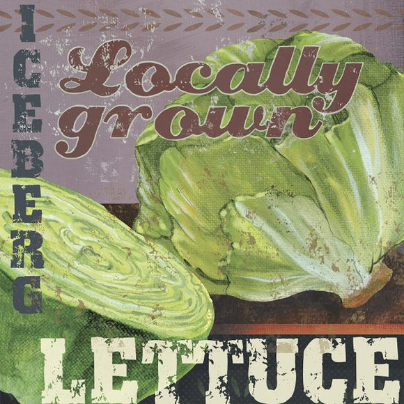 Farm Fresh I Iceberg Lettuce by Fiona Stokes-Gilbert